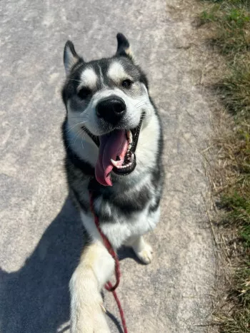 Zeus