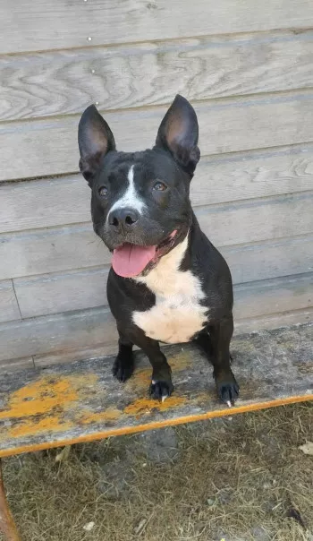 Jenna (Et Diego)