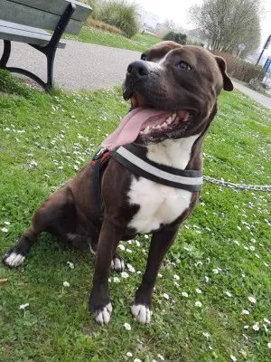 Zeus